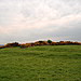 <b>Carbury Hill</b>Posted by bawn79