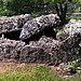 <b>Lough Gur Wedge Tomb</b>Posted by caealun