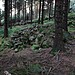 <b>Tara Hill Cairn 2</b>Posted by ryaner