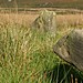 <b>Park Gate Stone Circle</b>Posted by obscureed