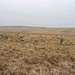 <b>Stall Moor Stone Circle</b>Posted by Meic