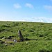 <b>Butterdon stone row</b>Posted by Meic