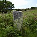 <b>Boslow Stone</b>Posted by formicaant