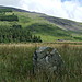 <b>Pont Scethin standing stones</b>Posted by postman