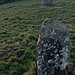 <b>The Timoney Stones</b>Posted by ryaner