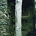 <b>Menhir of "U Nicciu du Briccu du Broxin"</b>Posted by Ligurian Tommy Leggy