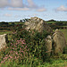 <b>White House, Llanhowell Cromlech</b>Posted by postman