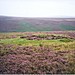 <b>Tavers Cleugh Cairn</b>Posted by Martin