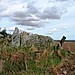 <b>Hill of Fiddes</b>Posted by drewbhoy