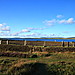 <b>Ring of Brodgar</b>Posted by Chris