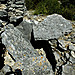 <b>Bois des Geants - dolmen 6</b>Posted by Moth