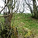 <b>Pole Hill, Leask</b>Posted by drewbhoy