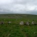 <b>Stall Moor Stone Circle</b>Posted by thesweetcheat