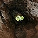 <b>Aveline's Hole</b>Posted by postman