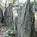 <b>Mount Ciabergia's cromlech (remains)</b>Posted by Ligurian Tommy Leggy