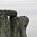 <b>Stonehenge</b>Posted by tjj