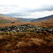 <b>Pen-y-Gwryd (Cairn SE of)</b>Posted by GLADMAN