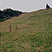 <b>Tidcombe Long Barrow</b>Posted by GLADMAN