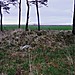 <b>Carlinkist Cairn</b>Posted by drewbhoy