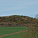 <b>Hammiton Hill</b>Posted by formicaant