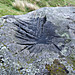 <b>Moel Faban Arrow Stone</b>Posted by blossom