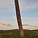 <b>Doonfeeny cross pillar</b>Posted by bogman