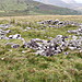<b>Moel Faban Settlement</b>Posted by blossom