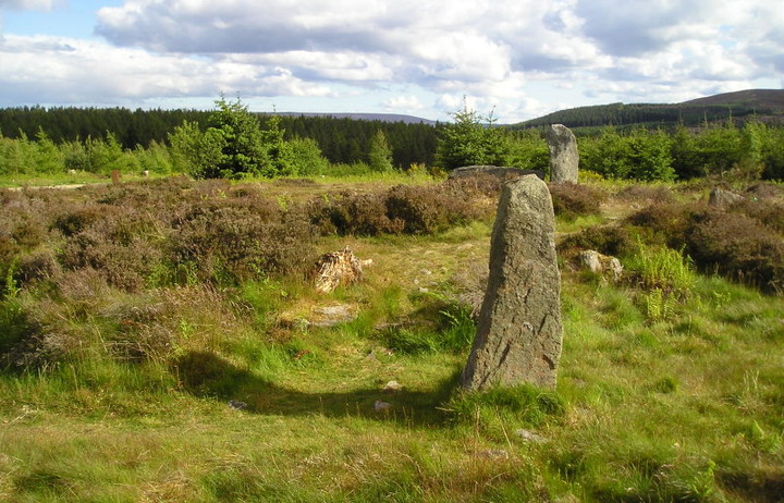 Whitehills (Stone Circle) by tiompan