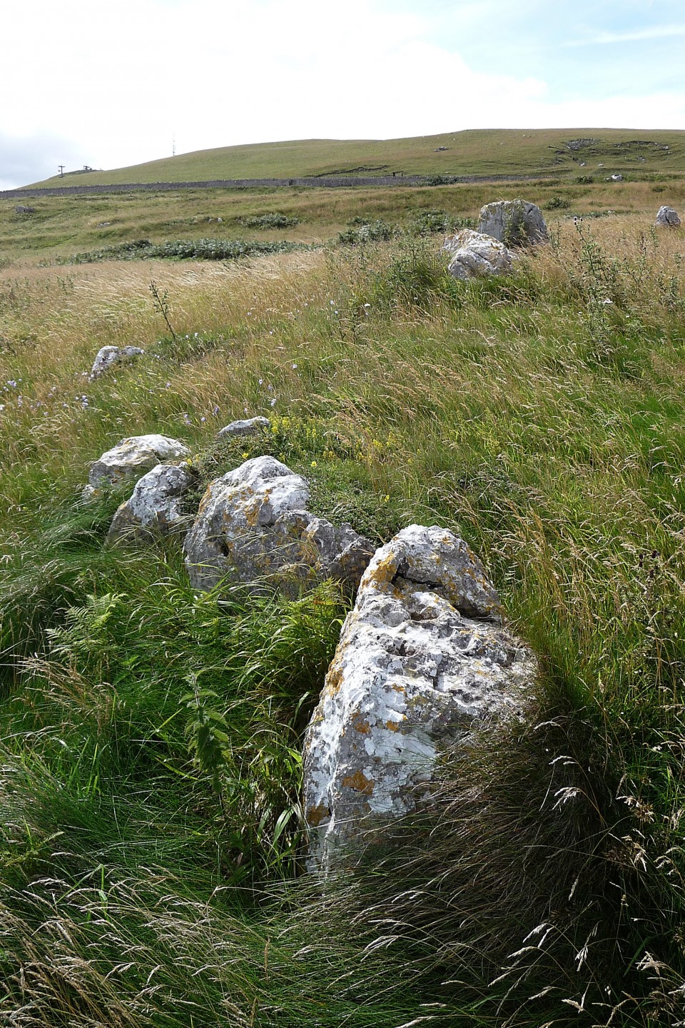 Hwylfa'r Ceirw (Stone Row / Alignment) by thesweetcheat