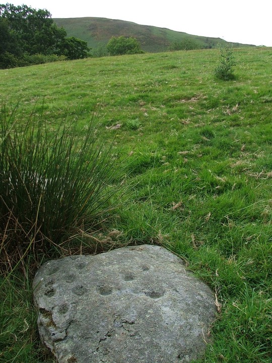 Owain Glyndwr's Mount (Cup and Ring Marks / Rock Art) by postman