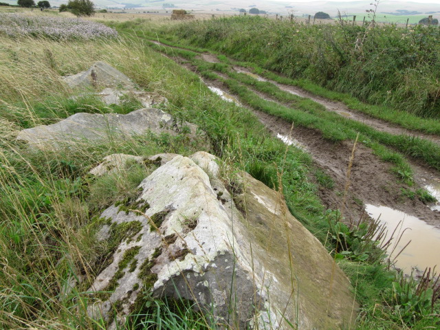 The Ridgeway (Ancient Trackway) by tjj