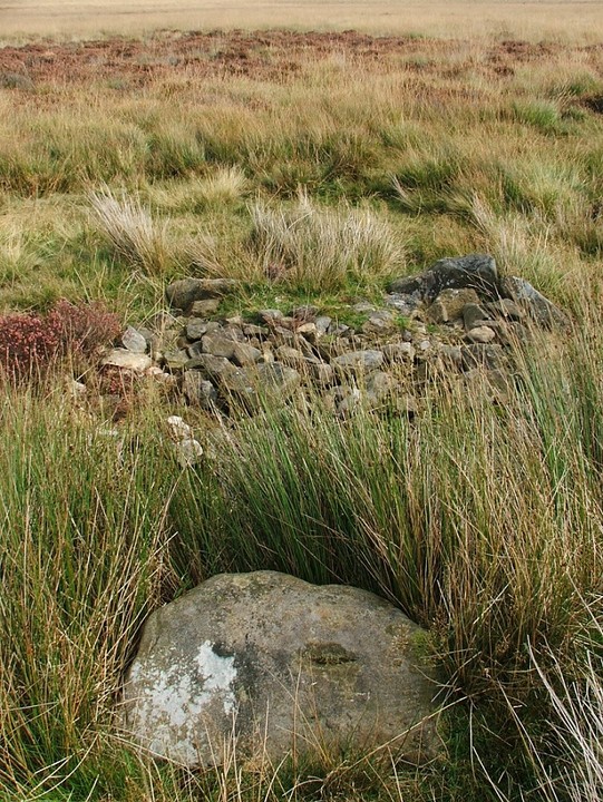 Barbrook II (Stone Circle) by postman