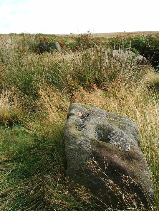 Barbrook I (Stone Circle) by postman