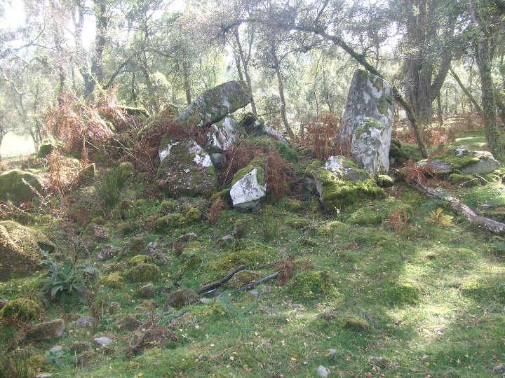 Kings Head Kinrive wood (Chambered Cairn) by strathspey