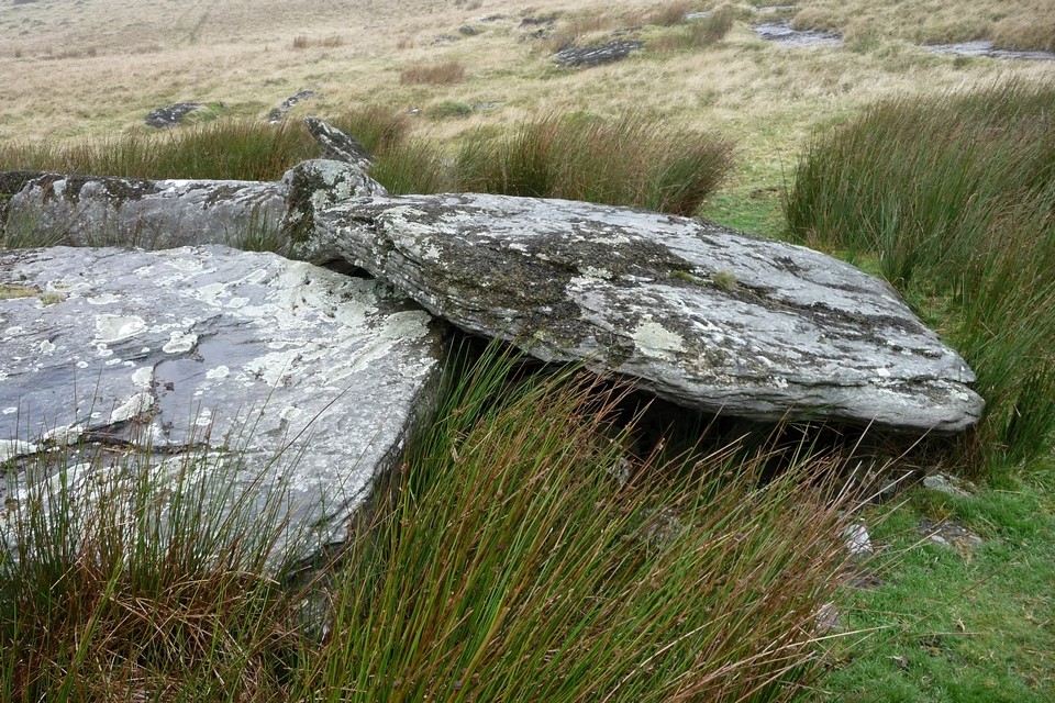 Carn Llechart Burial Chamber (Chambered Tomb) by thesweetcheat