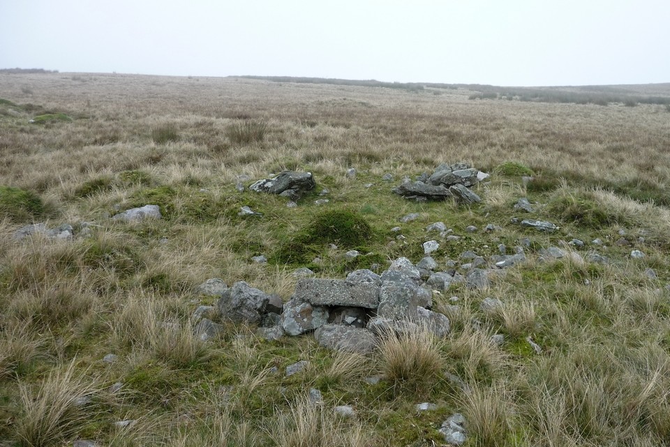 Mynydd Carnllechart (Cairn(s)) by thesweetcheat