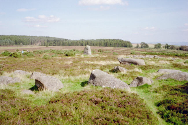 Braes of Fowlis (Stone Circle) by hamish
