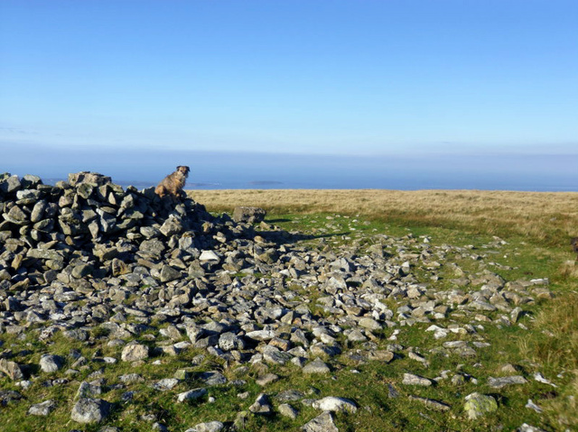 Moel Wnion (Cairn(s)) by blossom