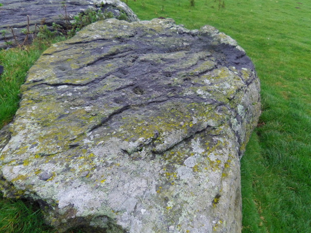 Garreg Fawr (Cup Marked Stone) by blossom