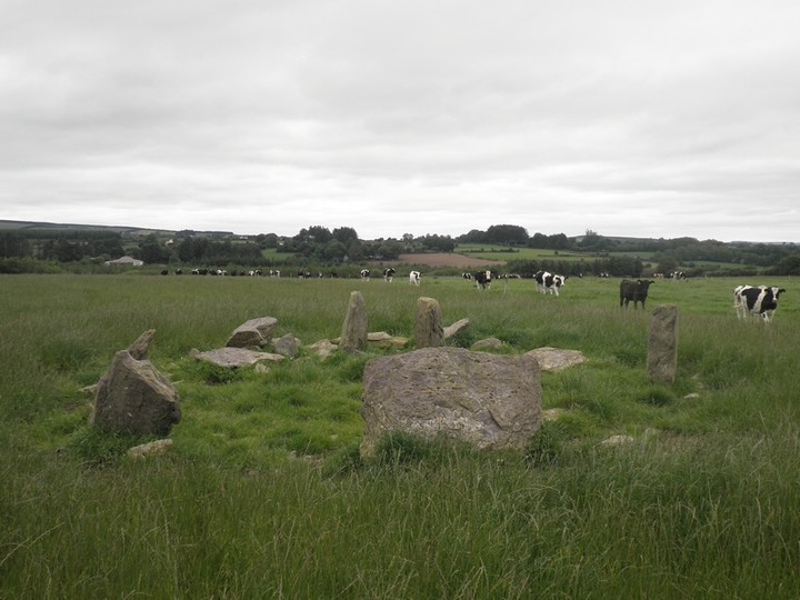 Gowlane North (Stone Circle) by bawn79