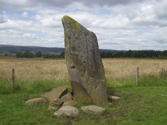 White Stone (Standing Stone / Menhir) by scotty