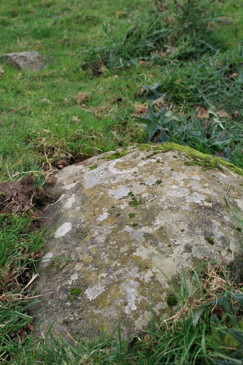 Llanerch Stone (Cup Marked Stone) by postman