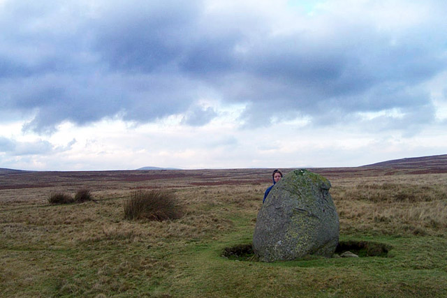 The Cop Stone (Standing Stone / Menhir) by IronMan