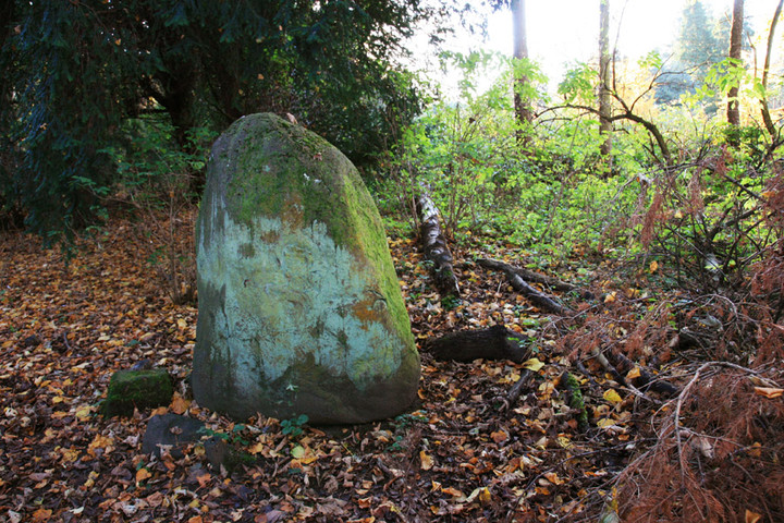 Cammo Stone (Standing Stone / Menhir) by BigSweetie