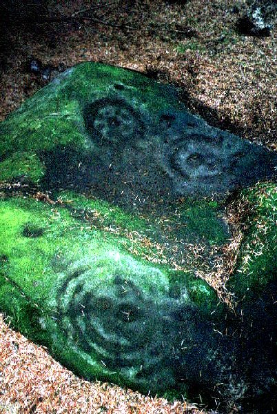Buttony (Cup and Ring Marks / Rock Art) by rockartuk