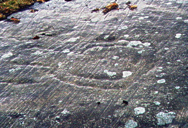 Chatton (Cup and Ring Marks / Rock Art) by rockartuk