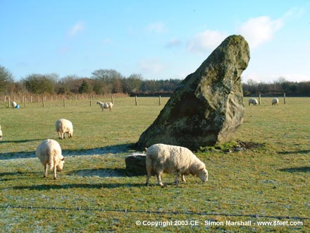 Llech Bron (Standing Stone / Menhir) by Kammer