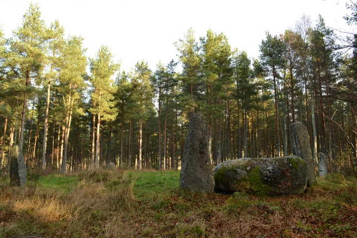 Cothiemuir Wood (Stone Circle) by thelonious