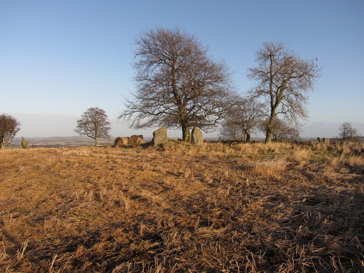 South Fornet (Stone Circle) by thelonious