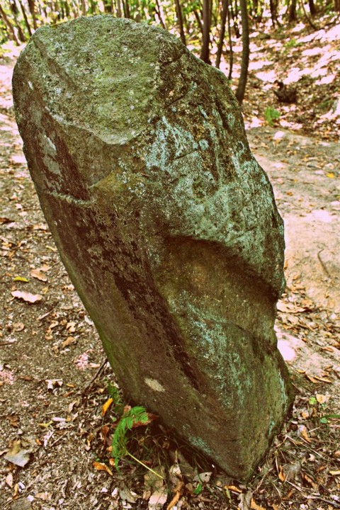 Menhir of Belbo river's springs (Saliceto) (Standing Stone / Menhir) by Ligurian Tommy Leggy